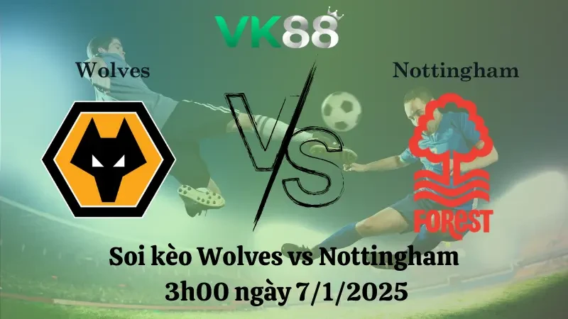 VK88 Nhận định soi kèo Wolves vs Nottingham 3h00 ngày 7/1/2025 - Ngoại Hạng Anh