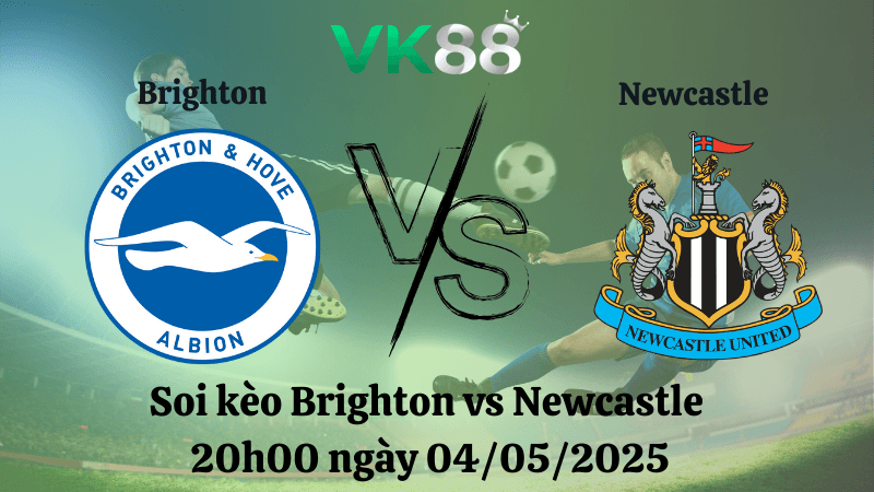 VK88 Nhận định soi kèo Brighton vs Newcastle 20h00 ngày 04/05/2025 - Ngoại hạng Anh