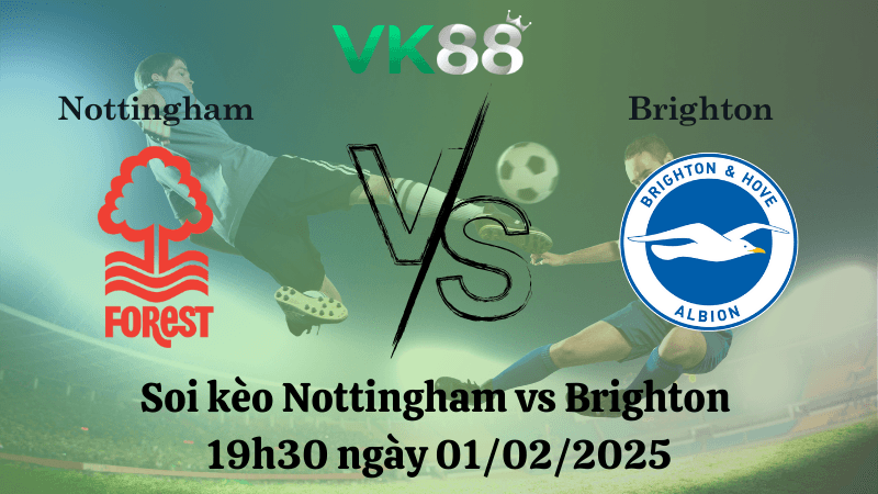 VK88 Nhận định soi kèo Nottingham vs Brighton 19h30 ngày 01/02/2025 - Ngoại Hạng Anh